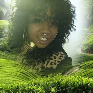 Meet your Posher, Daschell